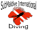 www.submaldive.com